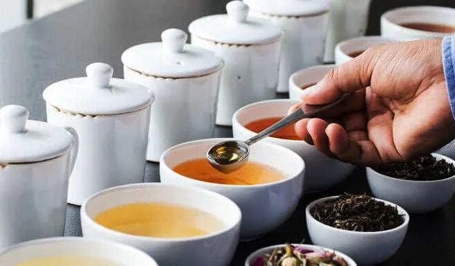 Tea Training Workshop
